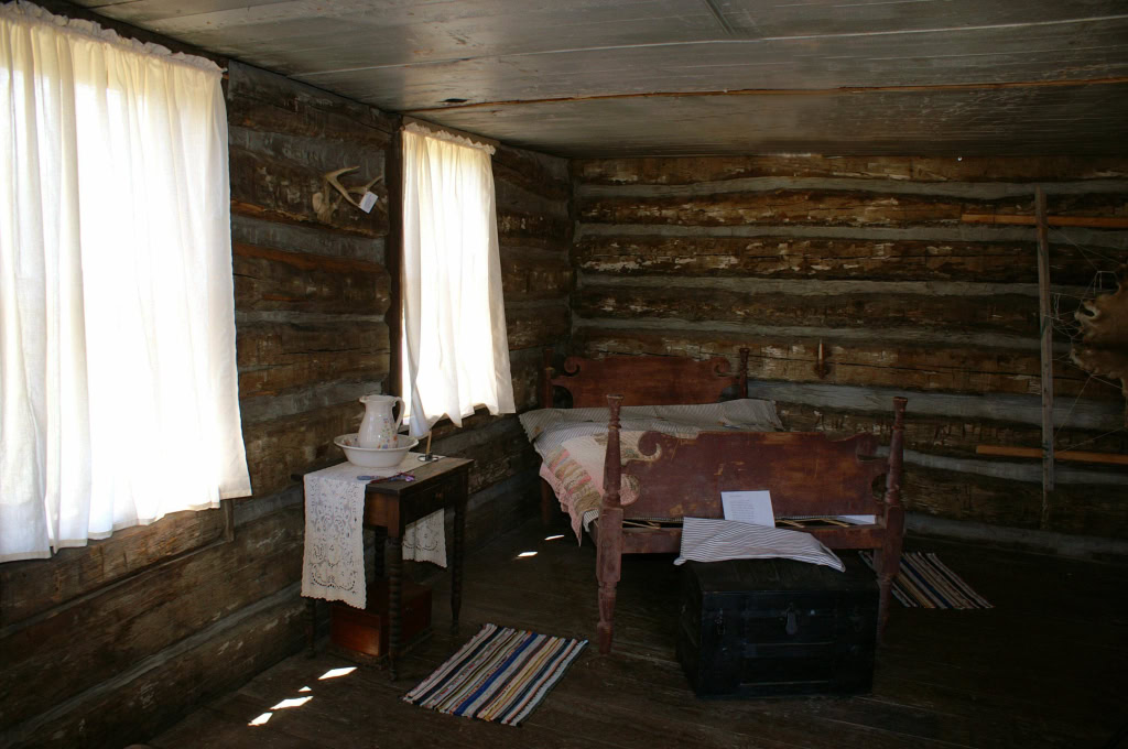 Williams'  Log Cabin June 2007