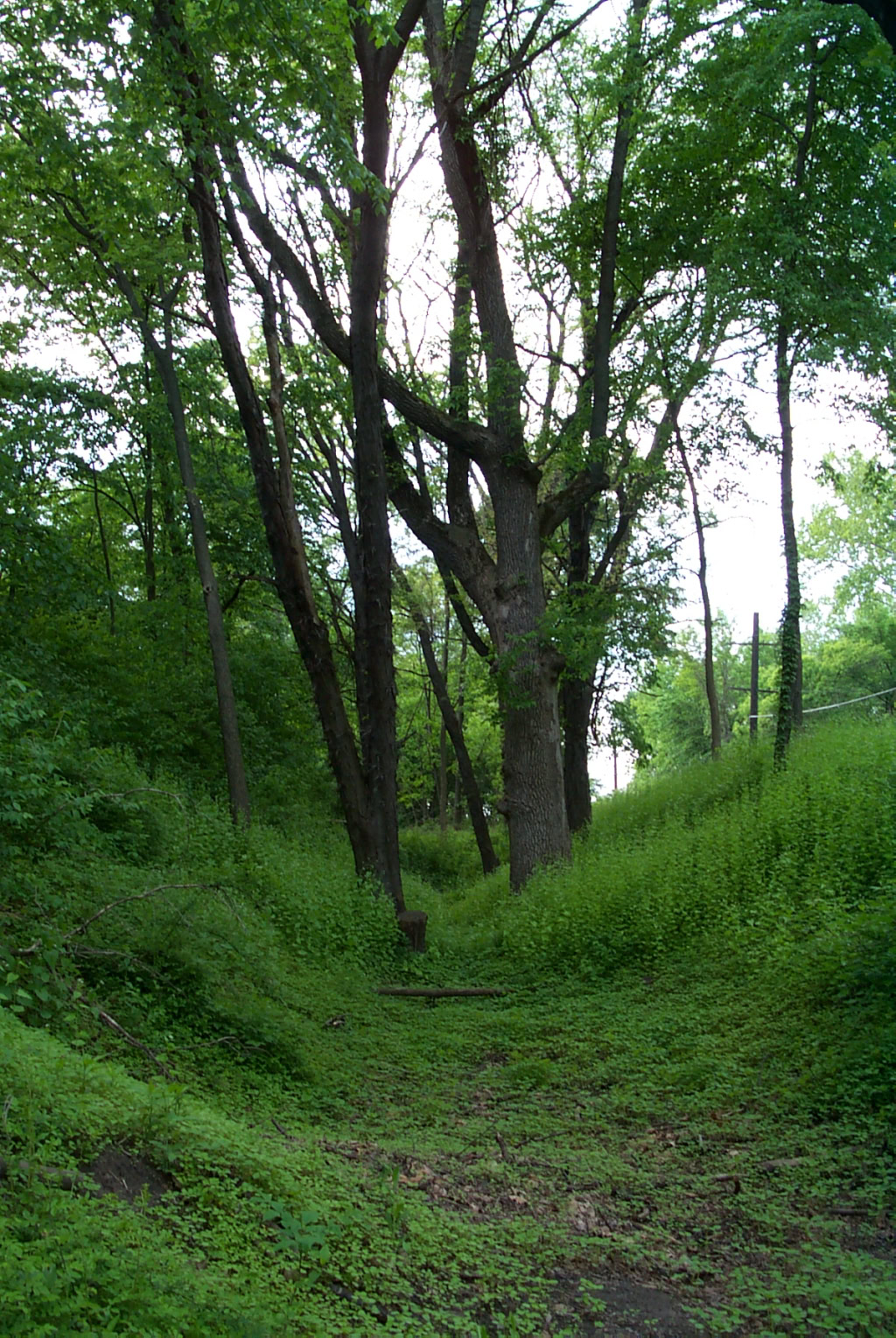the orginal canal