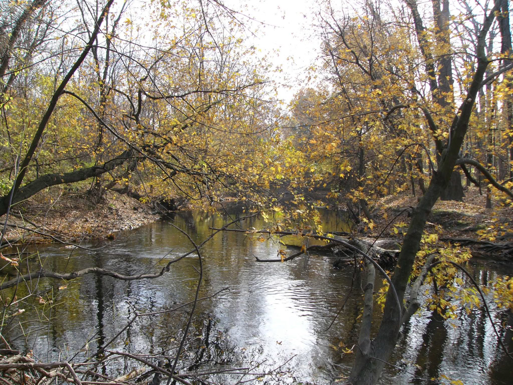 Budd Park Nov 2005