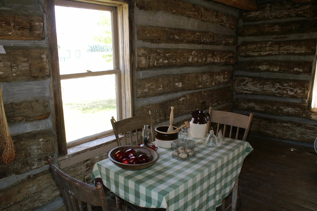 Williams'  Log Cabin June 2007