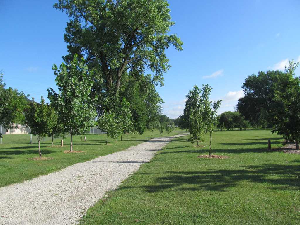 TOMLINSON ARBORETUM