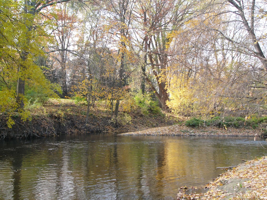 Budd Park Nov 2005