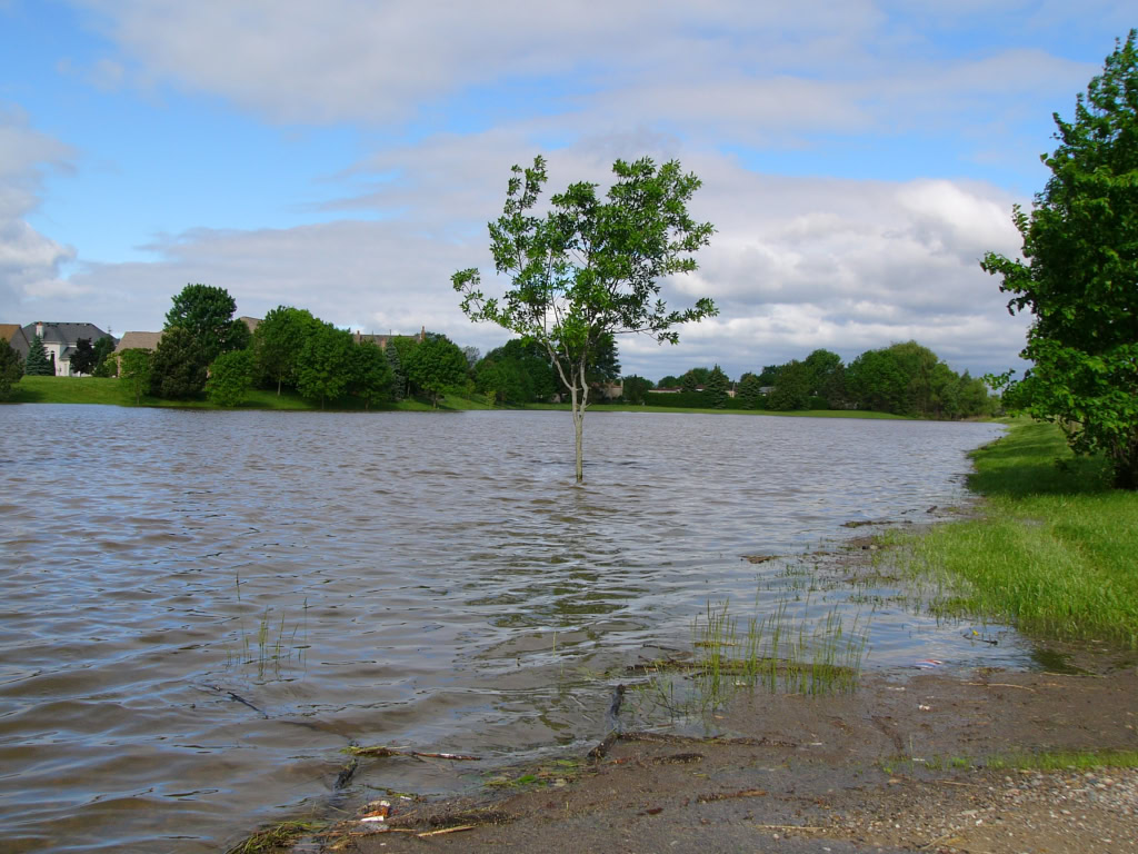 Flood  May 2004