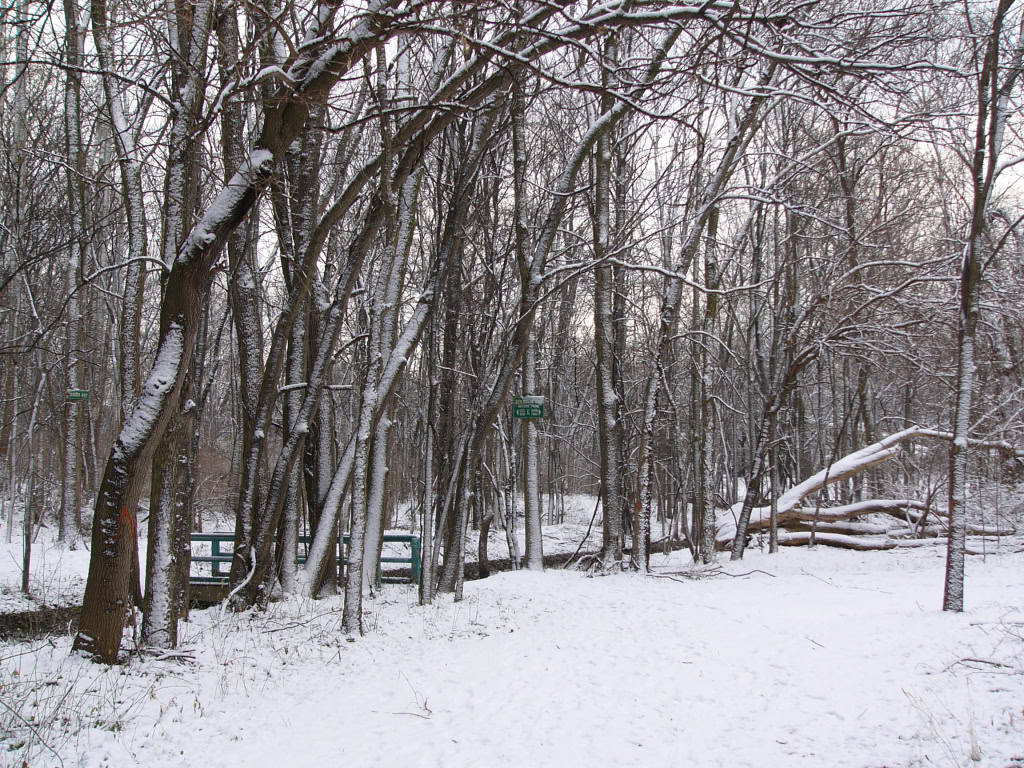 Canal Park Winter