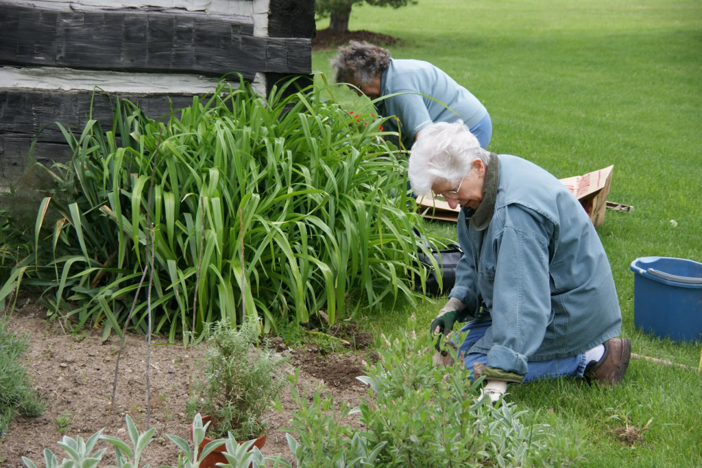 Village Clean Up 2010