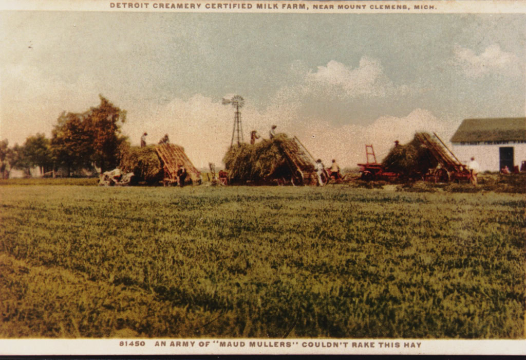 hay field
