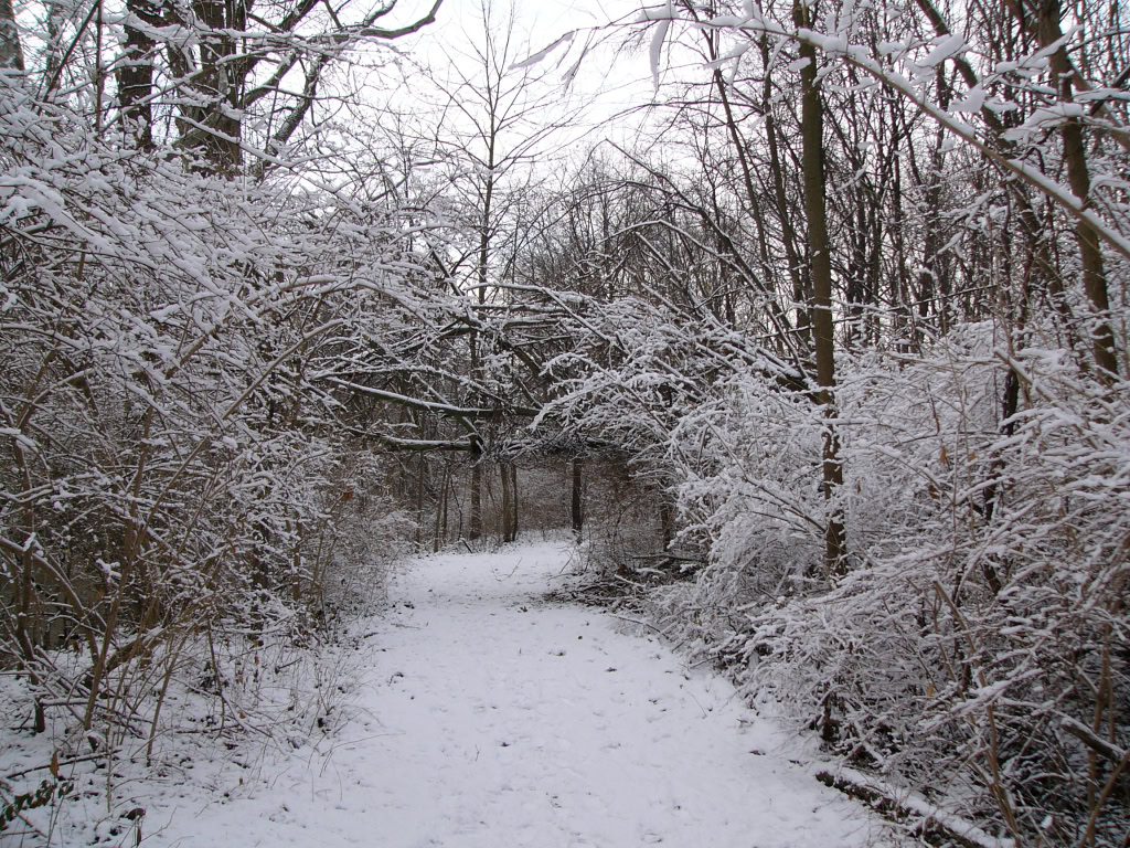 Canal Park Winter