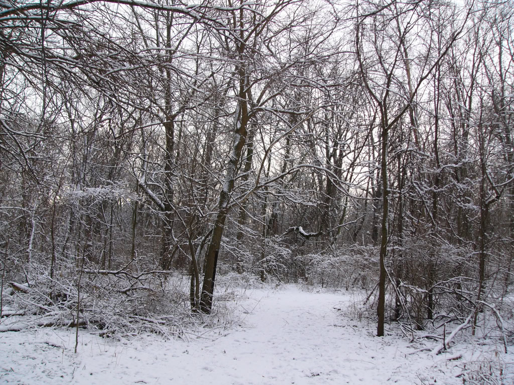 Canal Park Winter