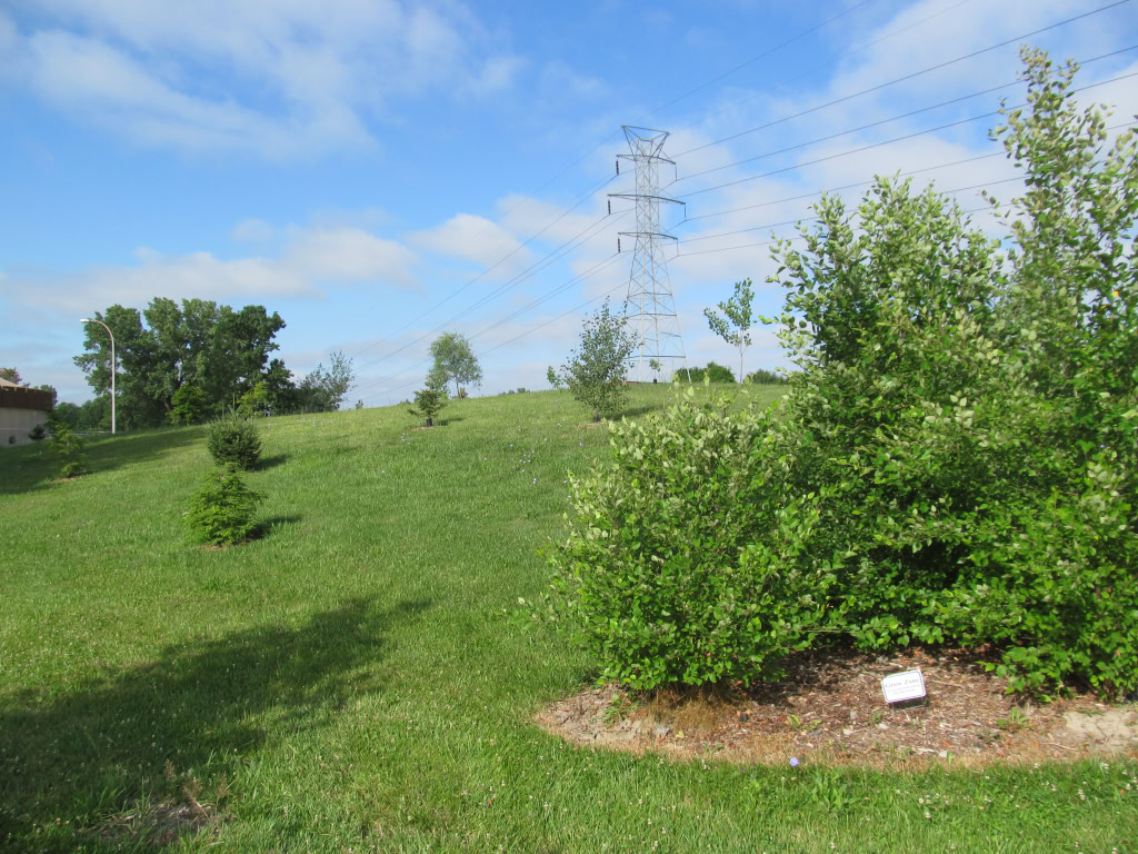 TOMLINSON ARBORETUM