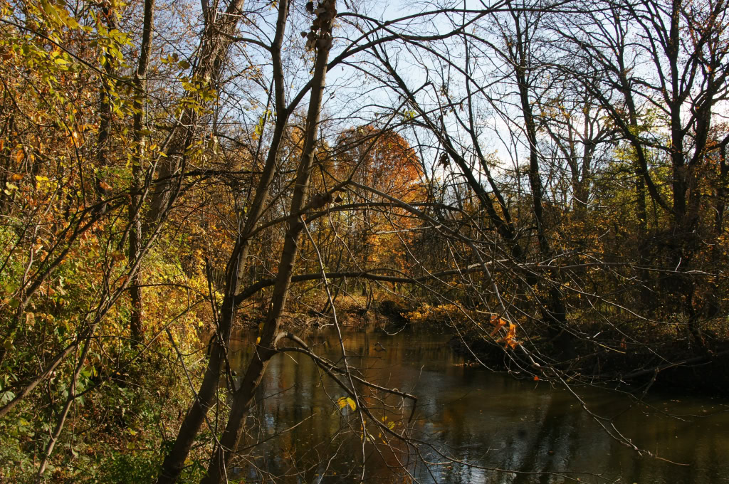 CANAL PARK  OCTOBER 2011