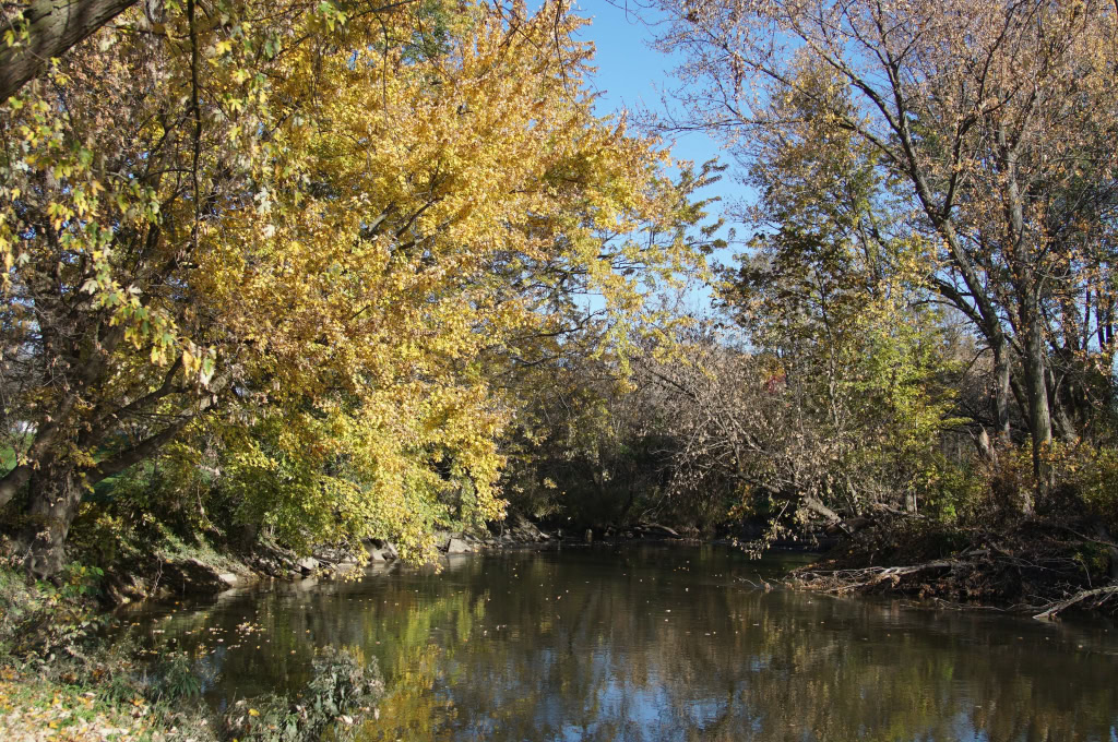 Canal Park November 5 2016