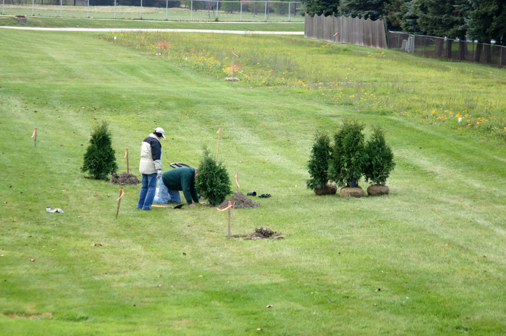 Arboretum October 2013 