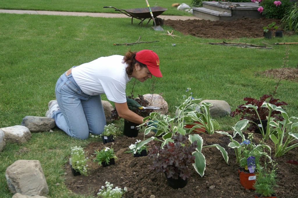 Garden June 2, 2006