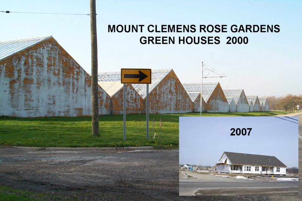Rose Garden Development
