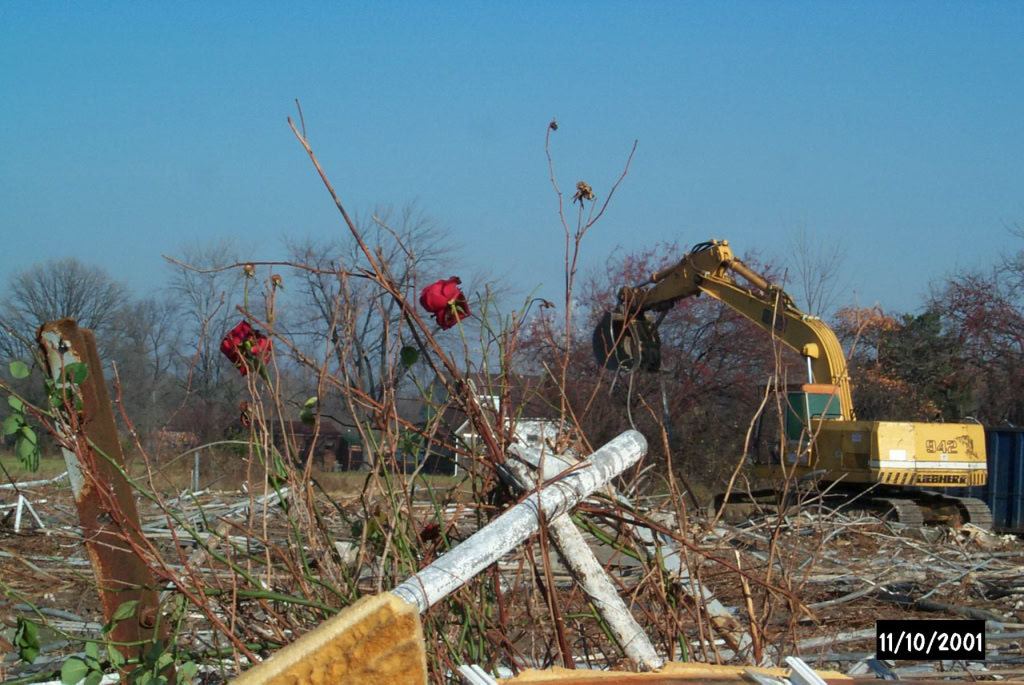Mount Clemens Rose Garden