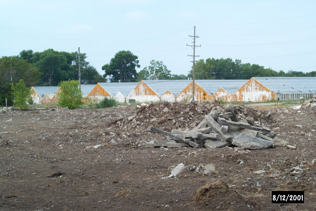 Mount Clemens Rose Garden