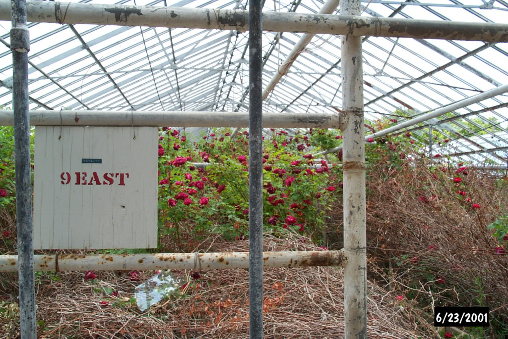 Mount Clemens Rose Garden