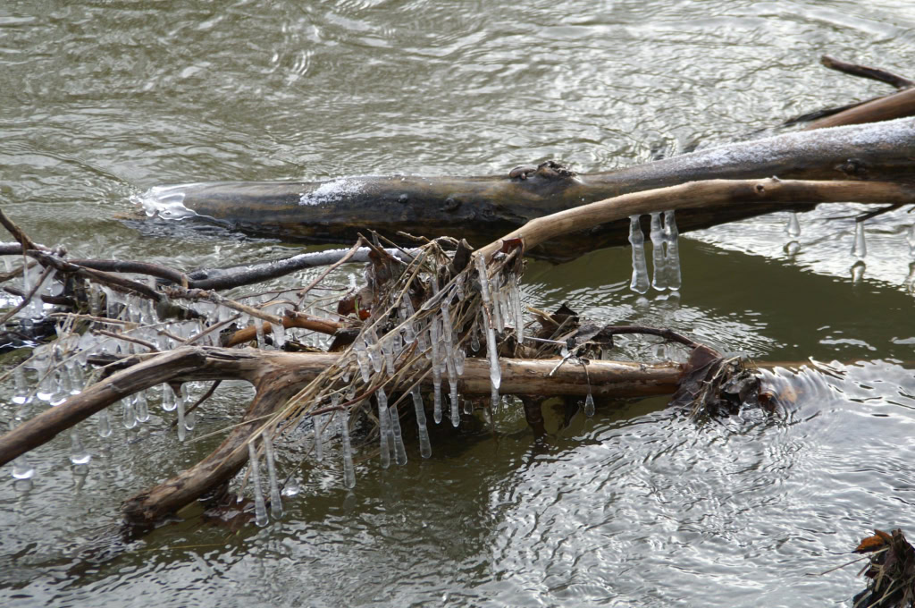 Ice Storm Jan 17 2007