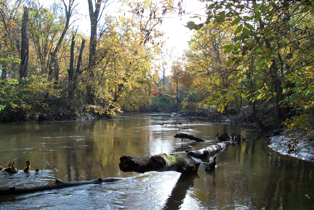 The Clinton River Oct 2009