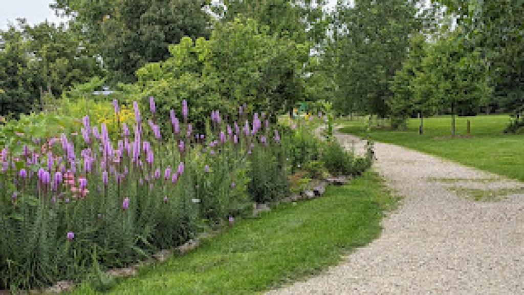 Path in the west arboretum