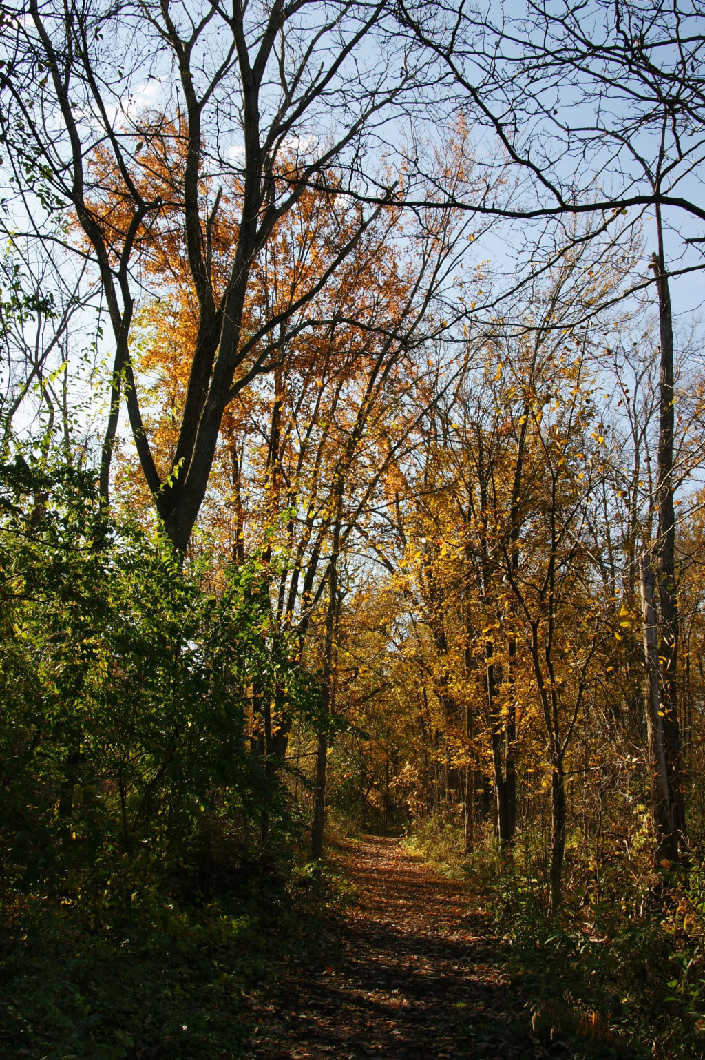 CANAL PARK  OCTOBER 2011