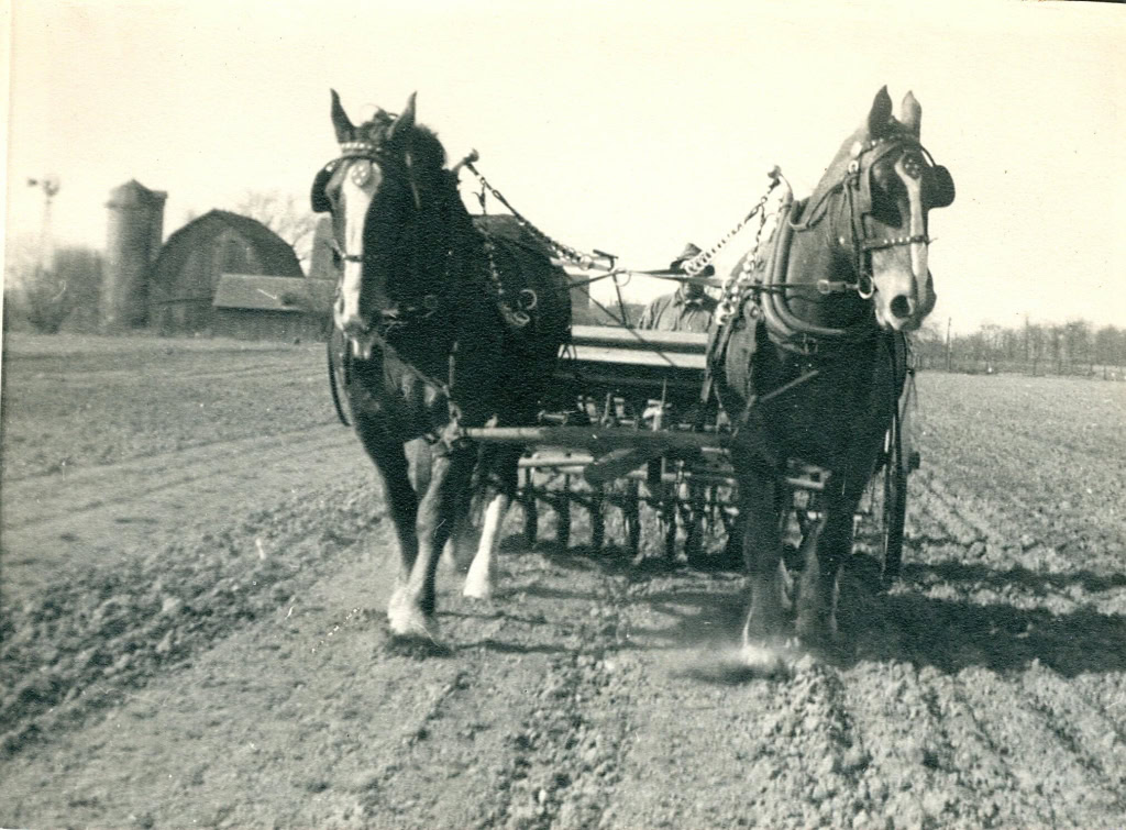 HINTZ FARM