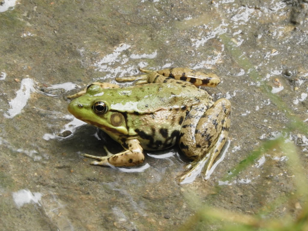 CLINTON TWP ARBORETUM