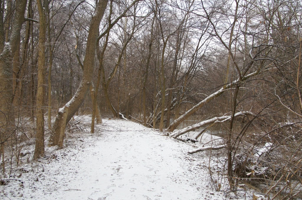 Ice Storm Jan 17 2007