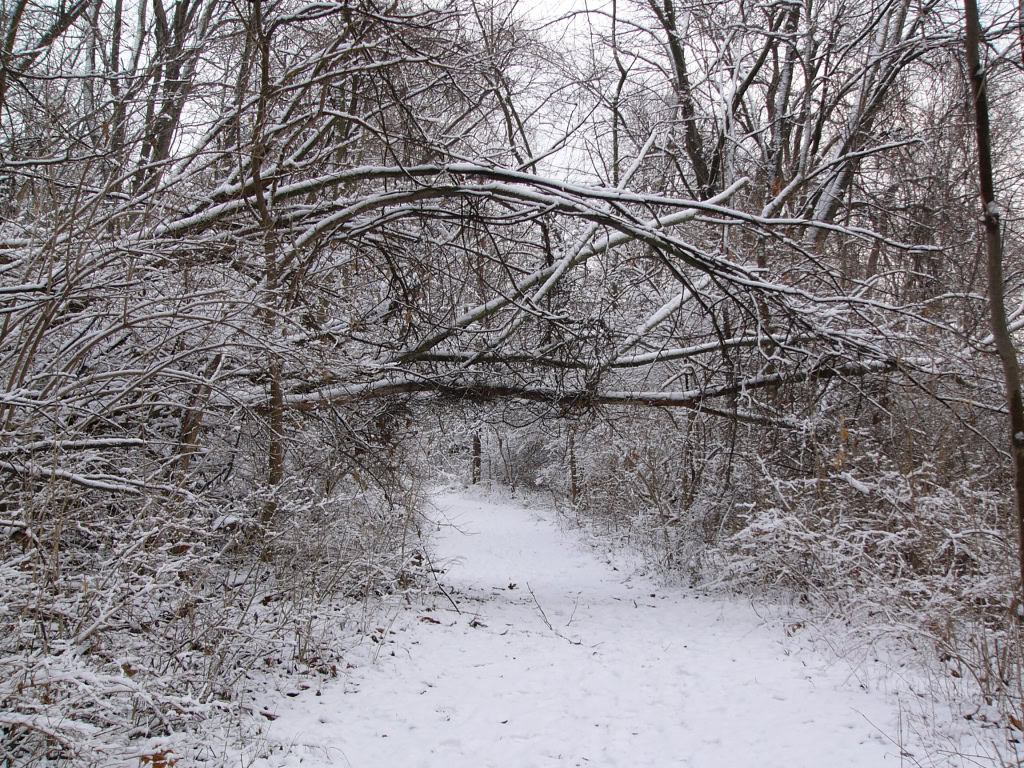 Canal Park Winter