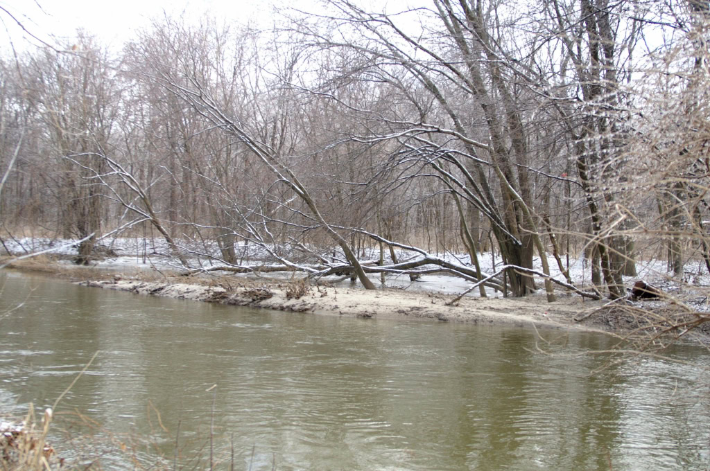 Ice Storm Jan 17 2007