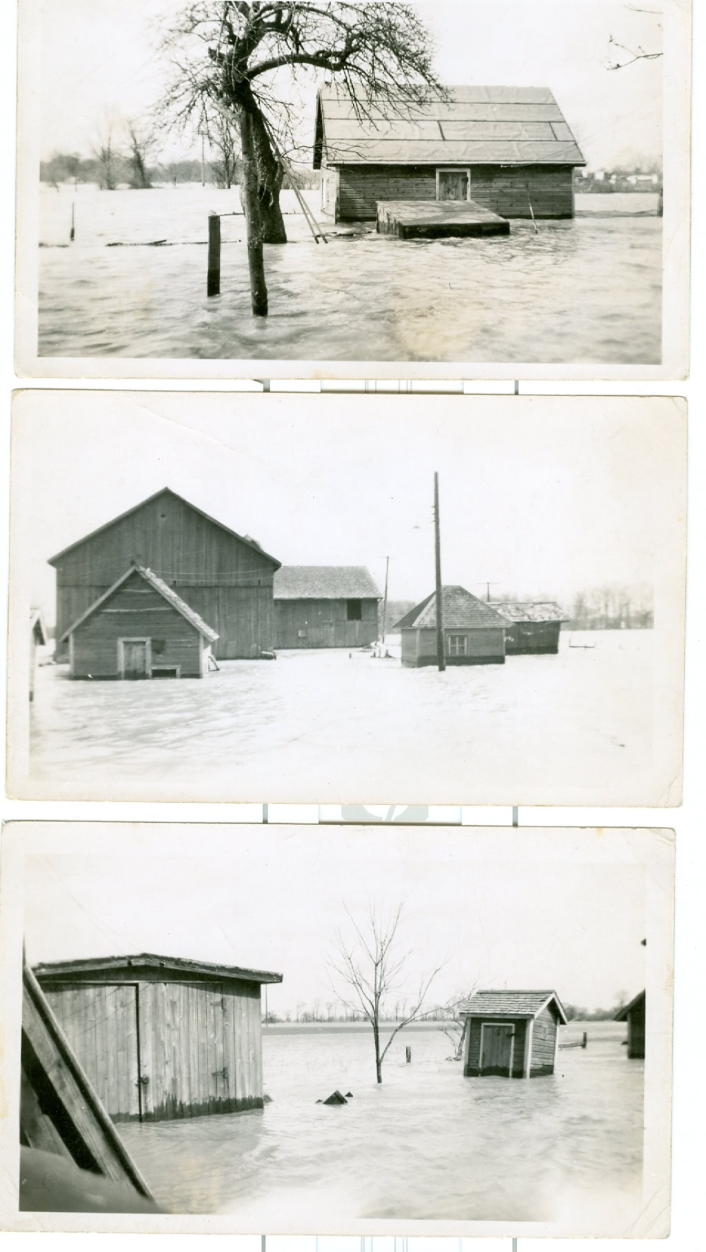 TOUR CLINTON TOWNSHIP  KERNER FARM