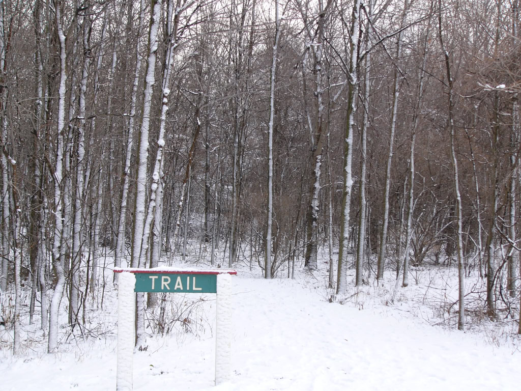 Canal Park Winter