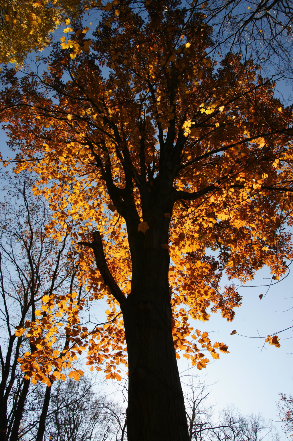 CANAL PARK  OCTOBER 2011