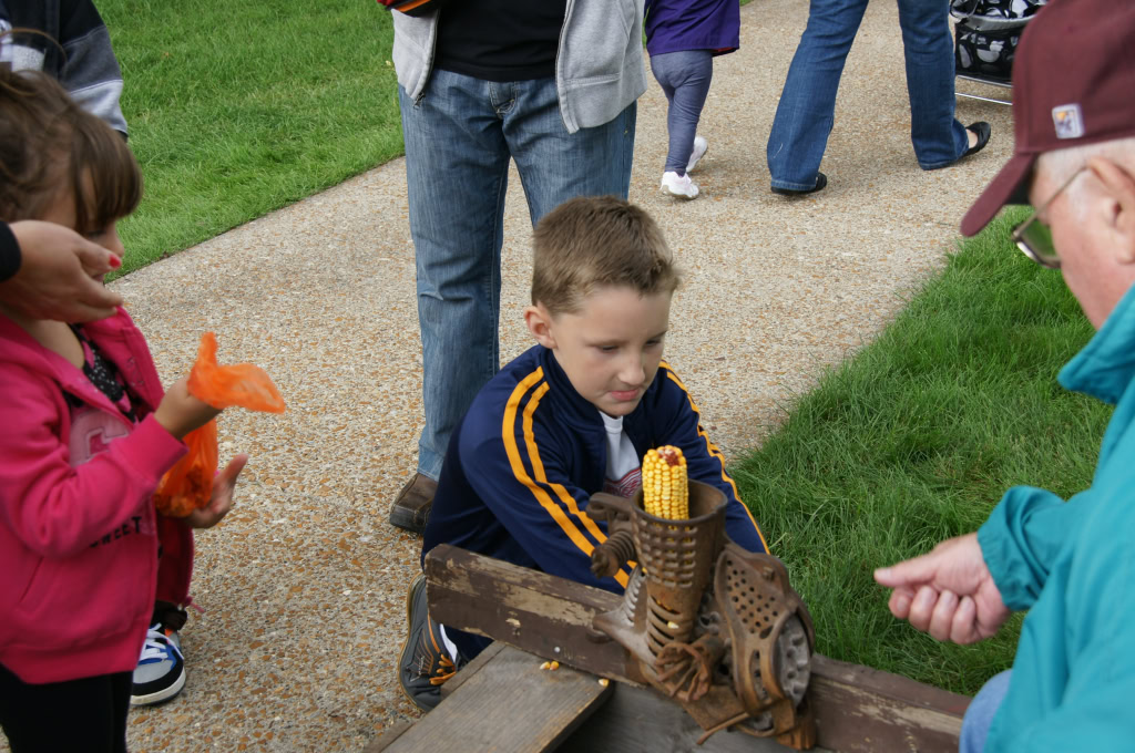 Festival of the Senses 2013