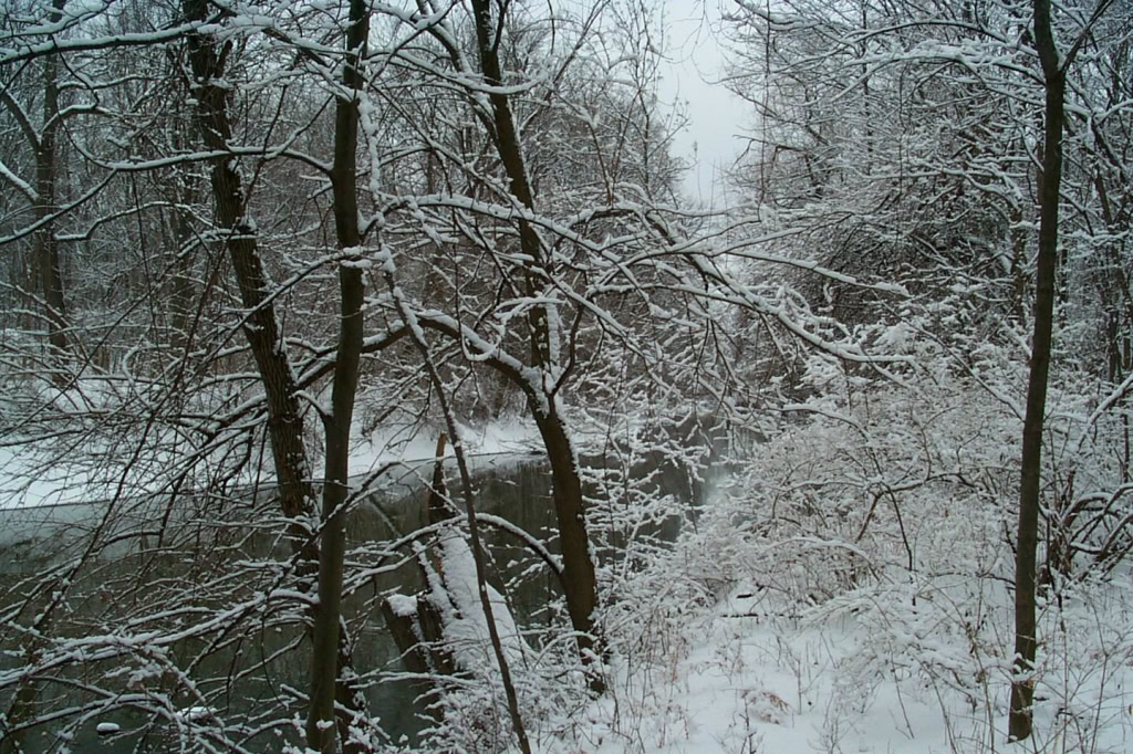 between Canal and Budd Park