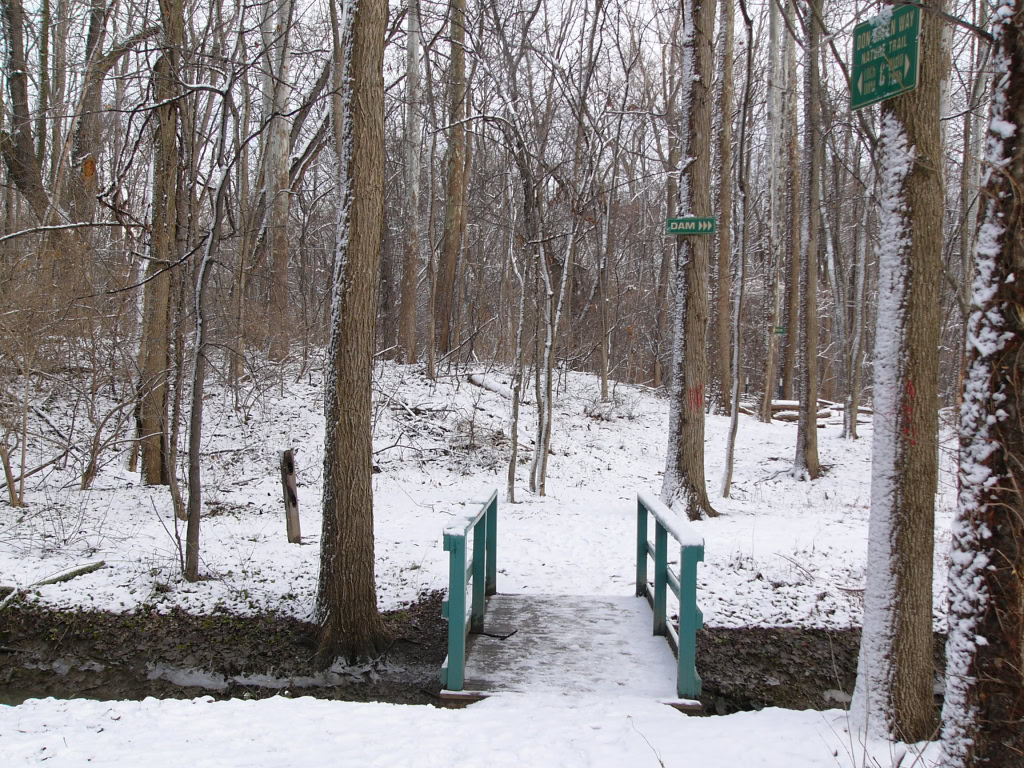 Canal Park Winter