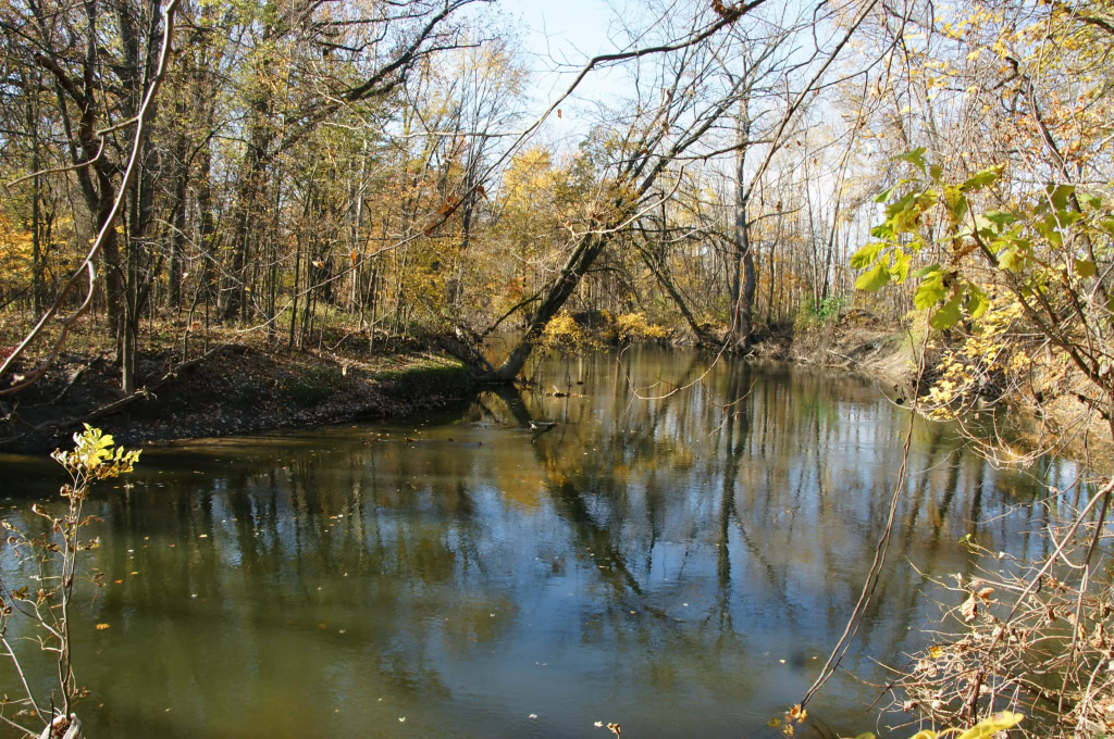 CANAL PARK  OCTOBER 2011