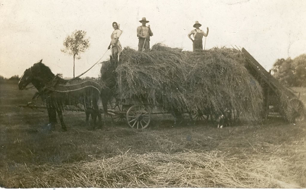 HINTZ FARM